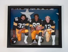 Franco Harris, Lynn Swann, Terry Bradshaw, Steelers - size 16x20 photo