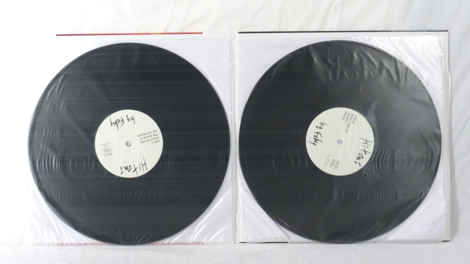 JOHN FAHEY - Hitomi 2003 Ltd. US 180g 2xLP NM - Image 4 of 4