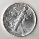 1993 WALKING LIBERTY AMERICAN EAGLE .999 FINE SILVER DOLLAR COIN 1oz. $1 USA B