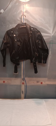 Vintage Tweeti Bird Looney Tune Youth Leather Jacket - Picture 2 of 6