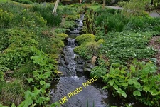 Photo 12x8 RHS Gardens Rosemoor Great Torrington The cascading stream on i c2014