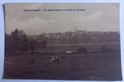 Ervy le Chatel - General view taken from the Prairie de l'Armance - cows