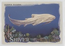 2021 Topps Allen & Ginter's Deep Sea Shiver Zebra Shark #DSS-14 gm9
