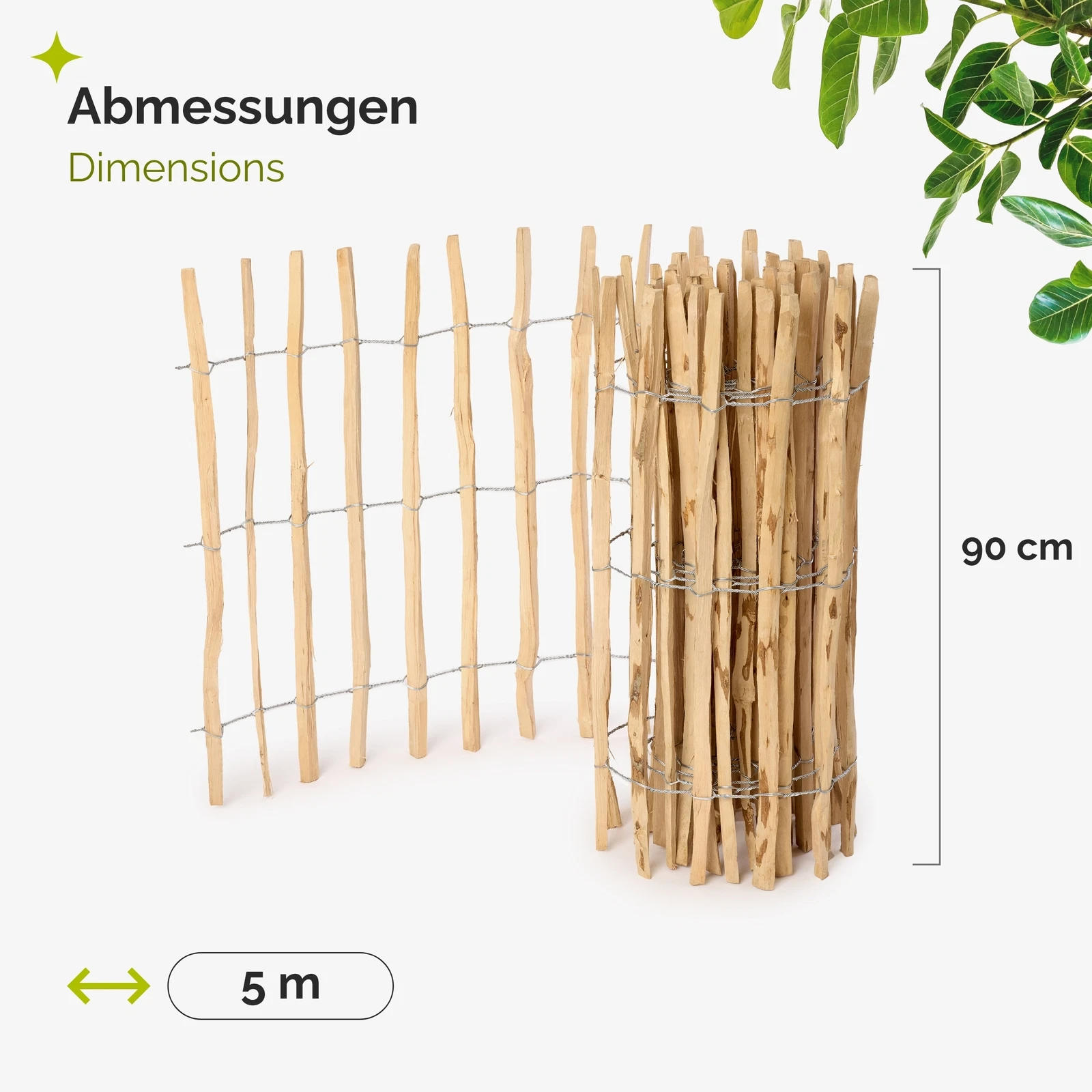 Bild 6 von 47
