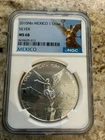 2010 Mexican Silver Libertad 1 oz — photo from another recent sale
