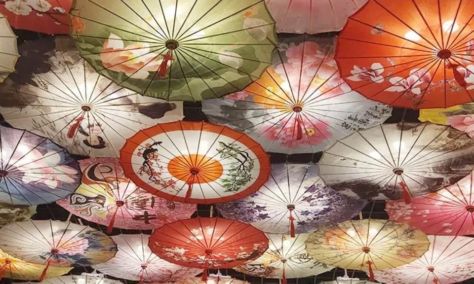 Paraguas chino tradicional en flor de cerezo Foto 3 de 4