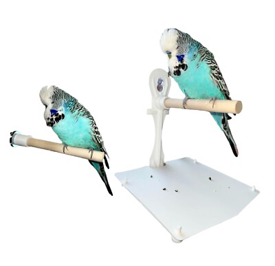 Vogel Barsch 2-teiliges Set. Inkl. Fenster Vogelstange mit Kotschale + Vogelkäfig Sitzstange.