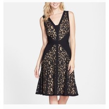 Tadashi Shoji Lace & Jersey Fit & Flare Black Nude Sleeveless Dress, Size 2