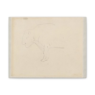 Piet Meiners - Amerikaanse bizon - 1867 - 1903 - Canvas Wall Art