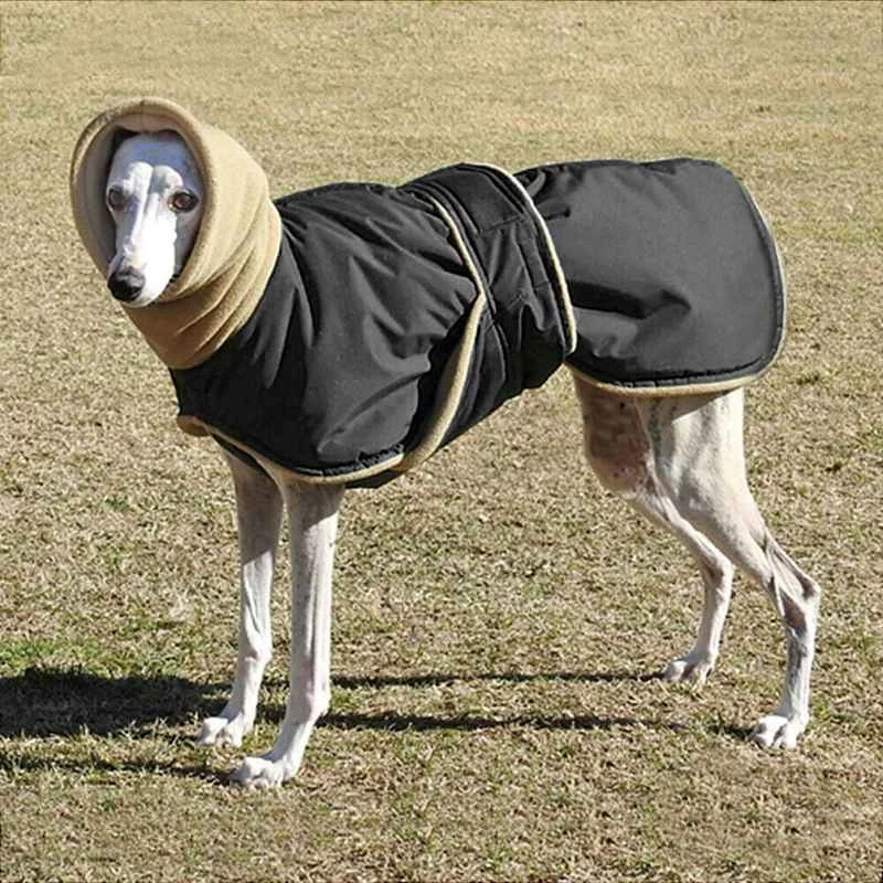 Greyhound hoodie for dog cheap