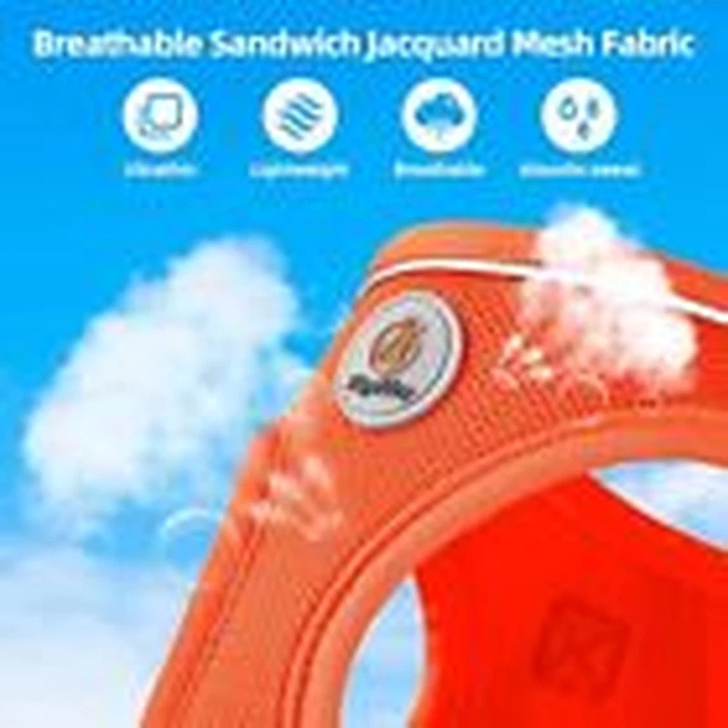 Dog Harness with Leash Set, X-S(9.5-10.5"N