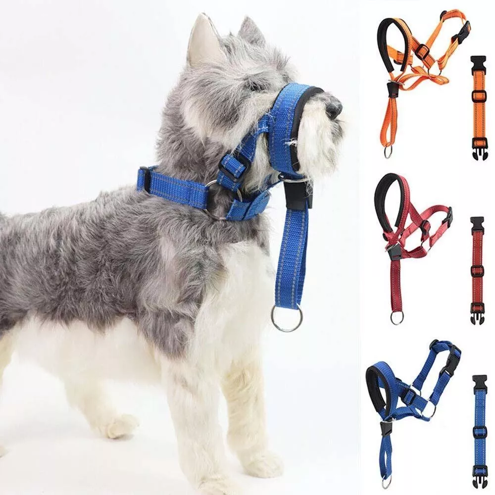 Best collar to stop dog cheap pulling uk