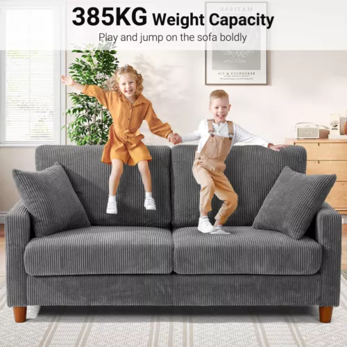 Mode 2 / 3 Seater Teddy Velvet Sofa with 2 Pillows Couch Love Seat Settee Green Gray