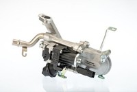 BorgWarner (Wahler) 7271D/1 Agr-Ventil FüR Audi Seat Skoda VW