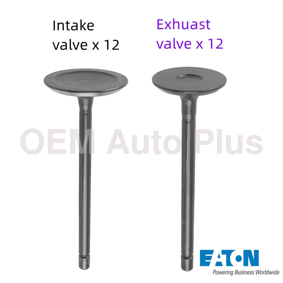 for CADILLAC CTS 2.8L 3.0L 2005-2014 24 PCs OEM EATON Intake&Exhaust Valves Foto 2 de 4