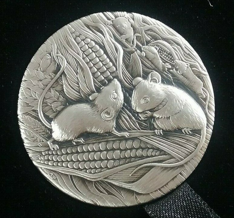 Foto 7 di 8