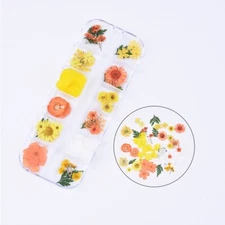 41PCS Real Pressed Dry Mixed flowers leaves collection as picture FCD504 #15