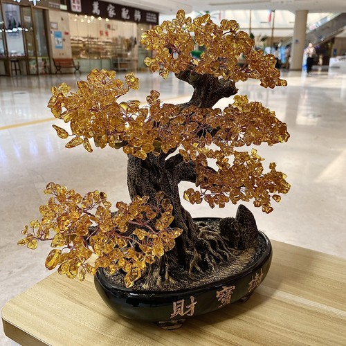 4.05LB Quartz mineral crystal wealth tree crystal bouquet shaped decoration - 第 8/13 張圖片