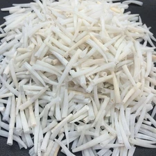 Tusk Sea Shells, 6 OZ Apprx.1300+ PC Shells, 1/2 Inch ~ 1 Inch