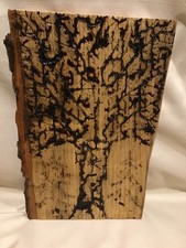 Unique 14" x 9" Fractal Wood Burning Art Piece Tree Pattern