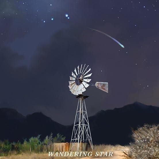 Audio Cd - Flatland Cavalry - Wandering Star - Interscope Records -D- Neu-image