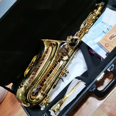 Popular Saxophone Alto YAS-480 E Sax Instrument High Quality with Case
