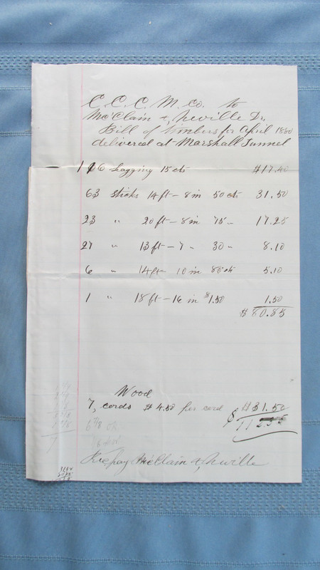 1880 Georgetown Colorado Colo. Central Mine Timber & Wood Delivery Invoice