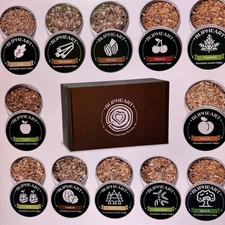 BLIPHEART Cocktail Smoker Kit 12 Premium Wood Chips Flavours