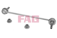 FAG 818 0481 10 Stange/Druckstrebe, Stabilisator FüR Renault