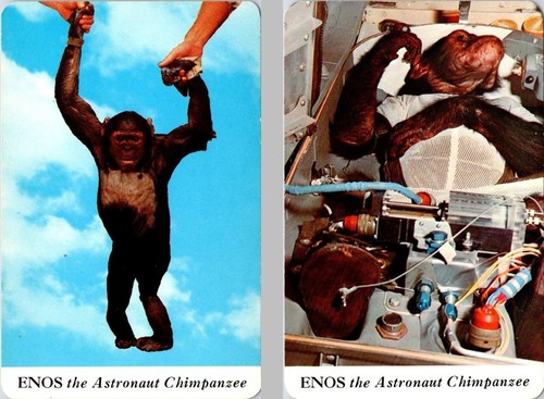 2~Vintage Postcards ENOS The ASTRONAUT CHIMPANZEE Orbited Earth NASA Mission
