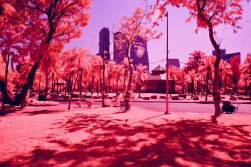 Infrared Filter, Aerochrome / IR-chrome 55mm filter *** SEE VIDEO *** UK Seller - Picture 3 of 21