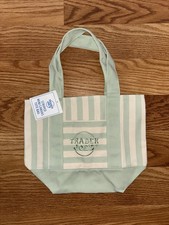 Trader Joe s Striped Pastel Teal Mini Tote Ba...
