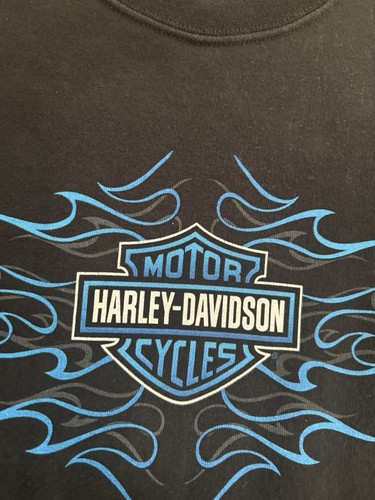 Harley Davidson Blue Flame Sweatshirt Vintage Black Wild Boar Grand Rapids, MI - Picture 8 of 9