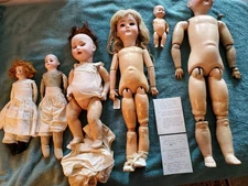 Lot 6 Antique German Bisque Project Dolls, Bodies, Parts Or Repair