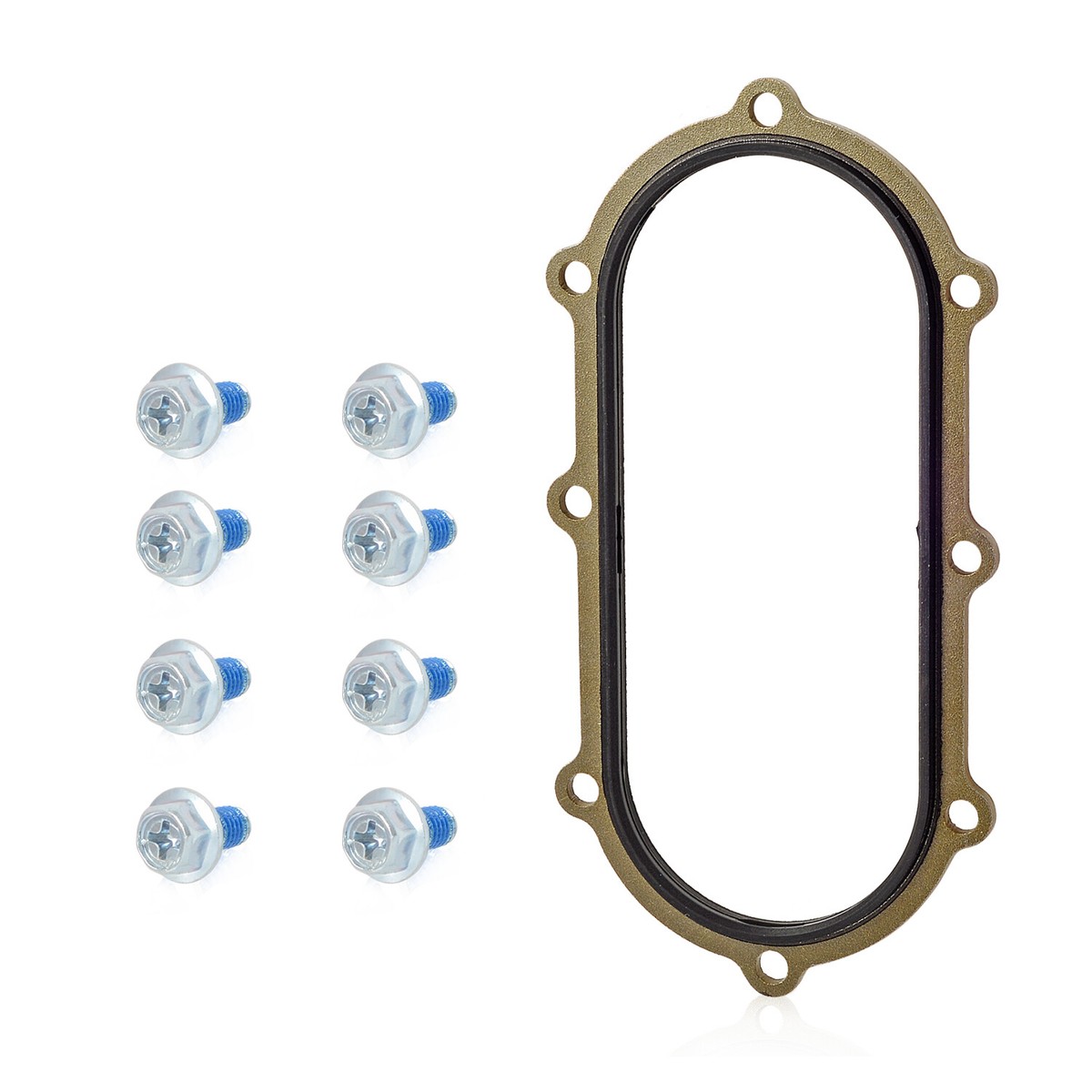 Fuel Pump Gasket & Bolts for Suzuki TL1000S GSX-R600 GSX-R750X