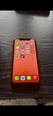 iPhone 11 With TikTok 
