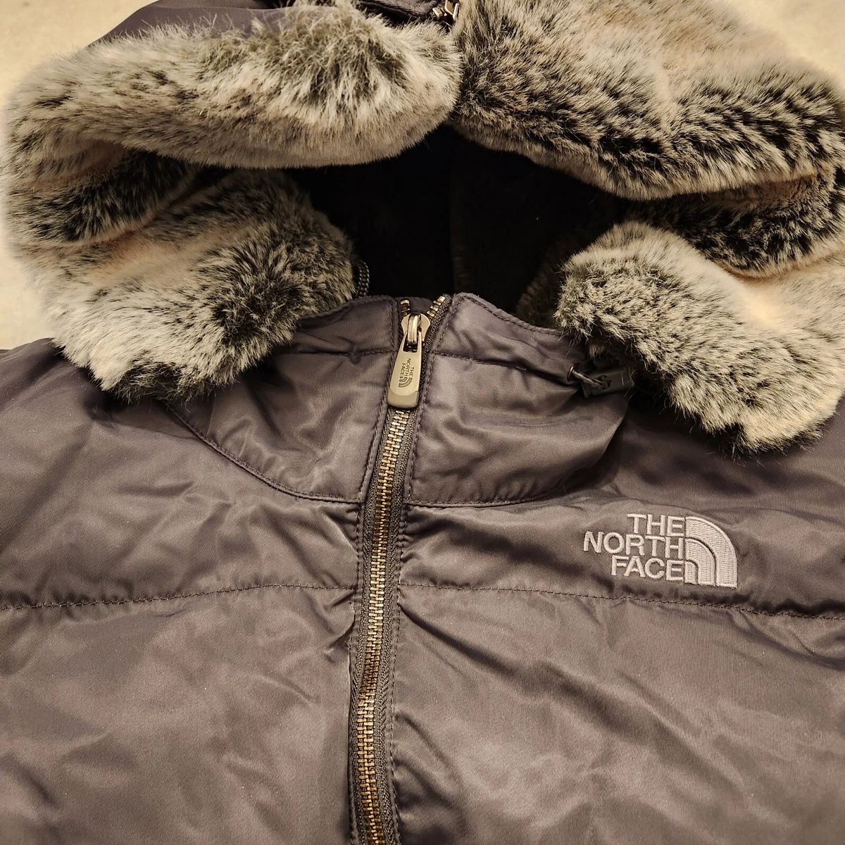 TNF x Gucci Inspired Beige Fluffy Dog Coat