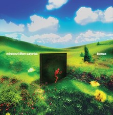 Rainbow Kitten Surprise - bones New CD Explicit