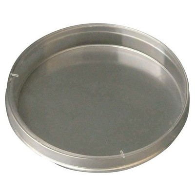 Zoro Select 49X569 Petri Dish,150X15mm,Polystyrene,Pk200 (Formerly Lab Safety