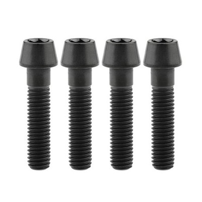 Wanyifa Titanium Ti M8 x15 20 25 30 35 40 45 50 60 70mm 1.25mm Pitch Hex Alle...