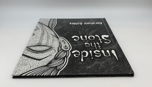 Inside the Stone by Abraham Ashley Hardcover First Edition Graphic Novel - Picture 6 of 7