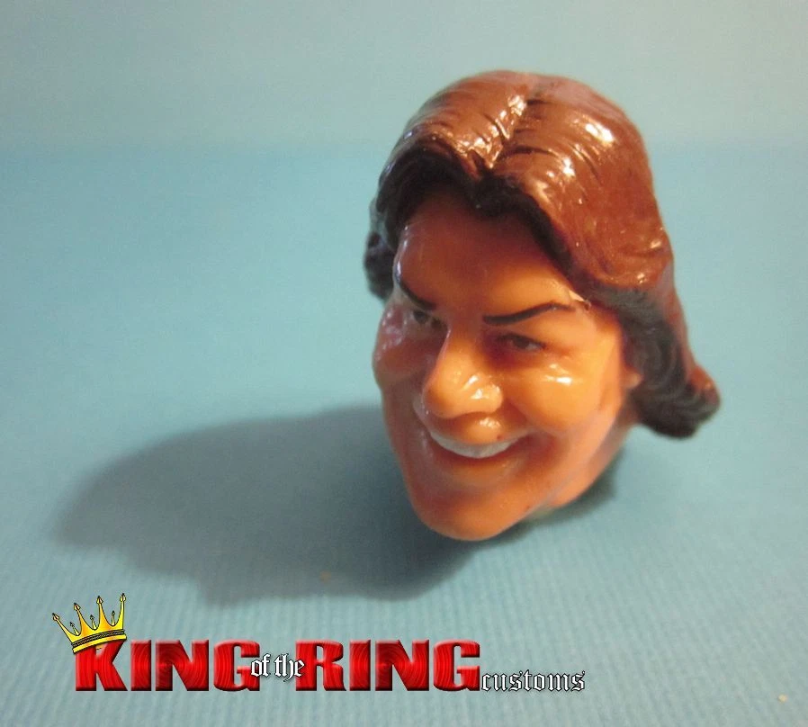 Wwf hotsell hasbro accessories