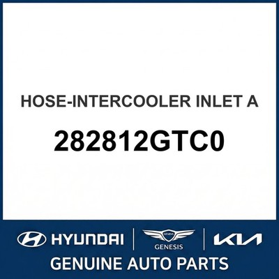2019-2022 Hyundai Veloster N Schlauch - Ladeluftkühler Einlass A OEM Neu 2828...