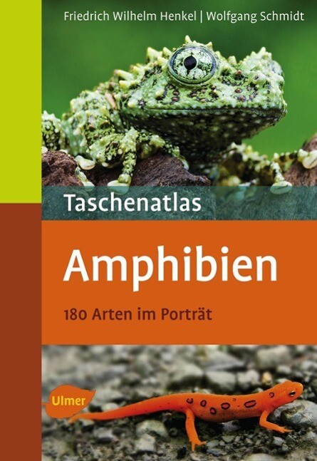 Thumbnail - Taschenatlas Amphibien | Buch | 9783800151554