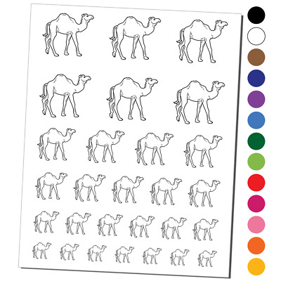 Dromedary Camel Temporary Tattoo Water Resistant Set