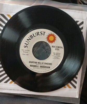 Roshell Anderson - Such A Big Thing / Grapevine Will Lie Northern Soul Excellent