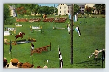 Postcard Kansas Fort Riley Horse Equestrian 1940s Unposted Linen