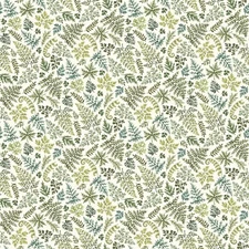 Northcott Wild Harvest by Deborah Edwards 27513 11 Cream Ferns   Cotton