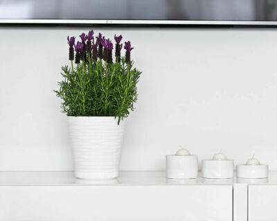 blumenkasten lackieren Blumenkasten in Sonderfarbe & Wunschfarbe main image 0