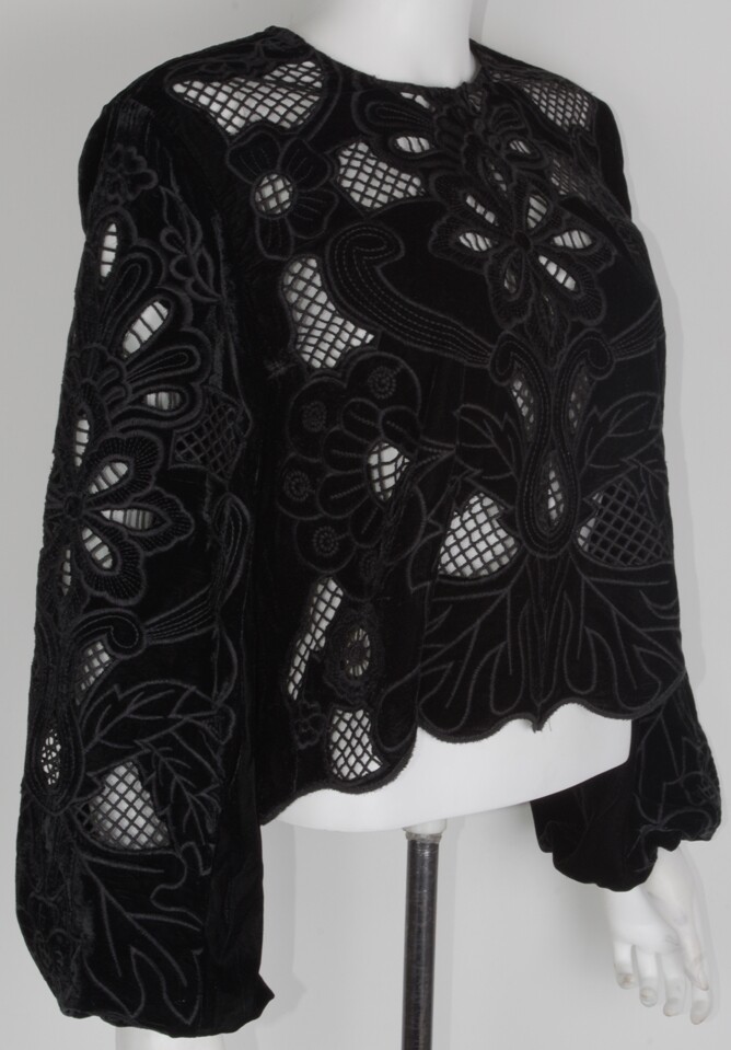 ZARA BLACK BALLOON SLEEVES CROP FLORAL IVY TONAL EMBROIDERED VELVET BLOUSE  TOP | eBay